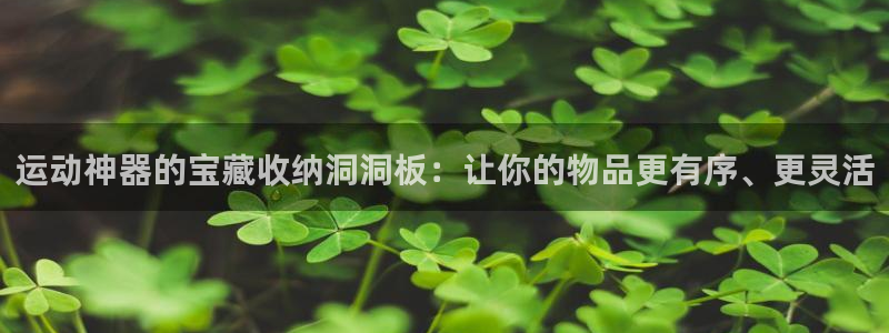 球速体育QsTY官方正版app娱乐首页网站大全：运动