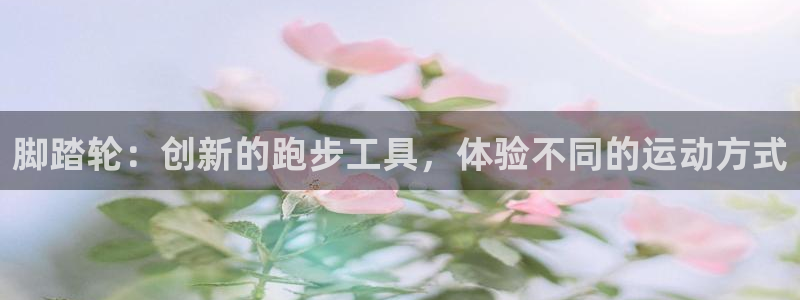 球速体育QsTY官方正版app集团logo：脚踏轮：