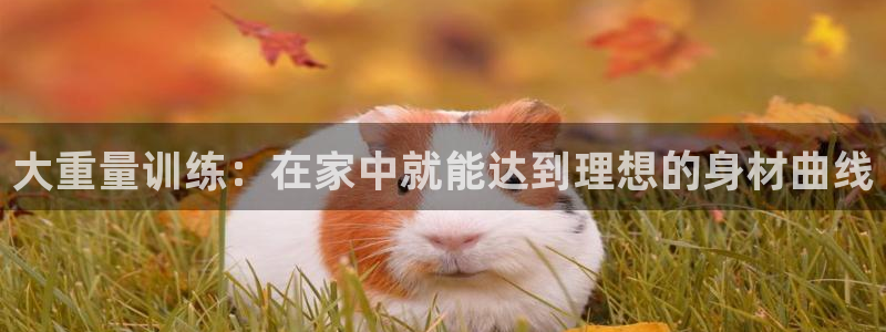 球速体育QsTY官方正版app科技：大重量训练：在家
