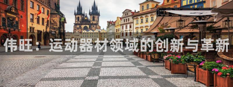 德国球速体育QsTY官方正版app集团：伟旺：运动器