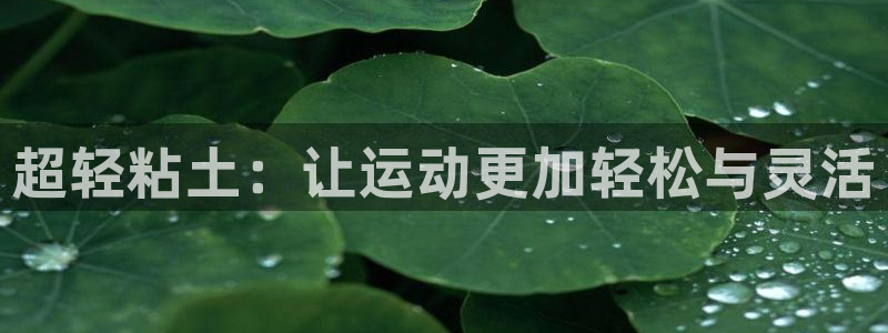 球速体育QsTY官方正版app集团logo