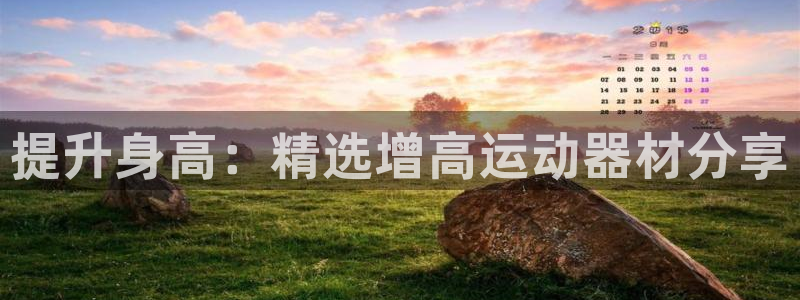 球速体育QsTY官方正版app新能源