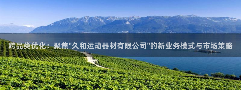 球速体育QsTY官网下载官方客服电话：跨品类优化：聚焦\